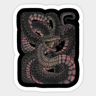 Snake in a Box Sticker